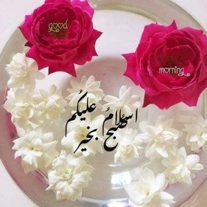 Meet your Posher, Raja